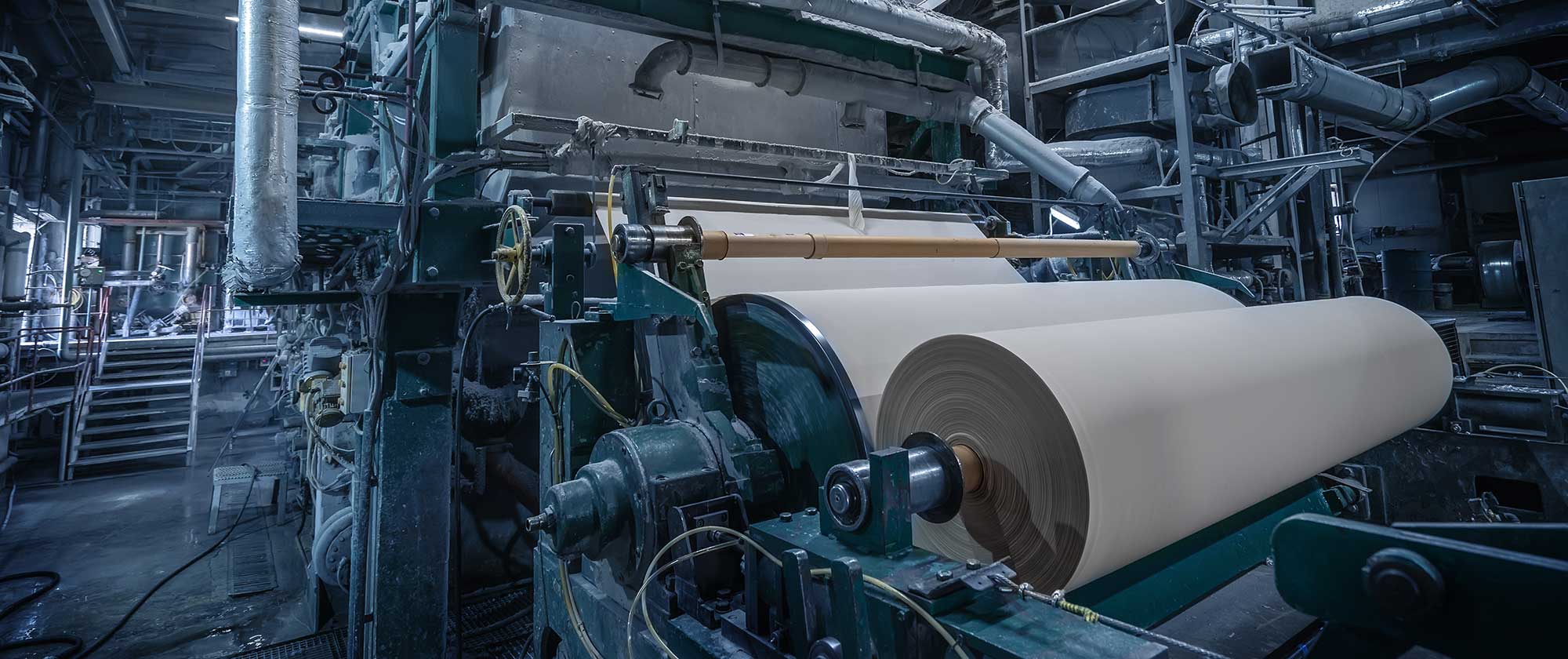 Pulp & Paper