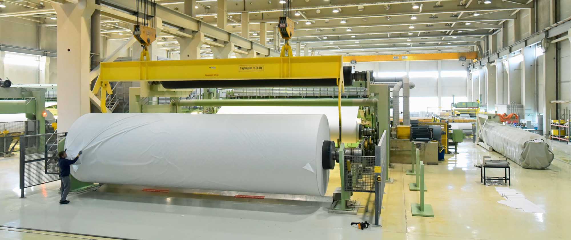 Pulp & Paper